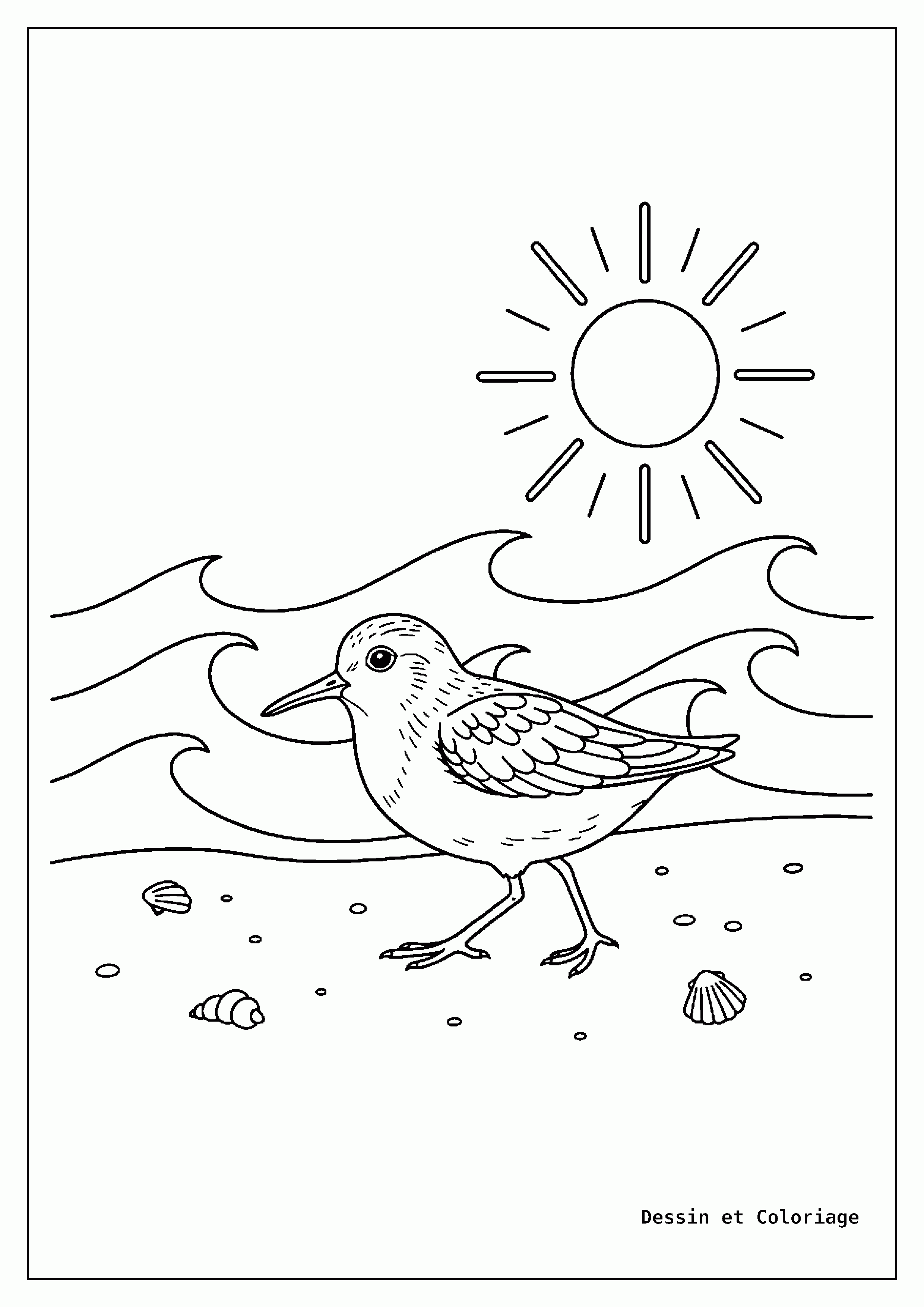 coloriage oiseau — Bécasseau marchant sur le sable d'une plage, avec de petites vagues en arrière-plan et ses pattes fines.