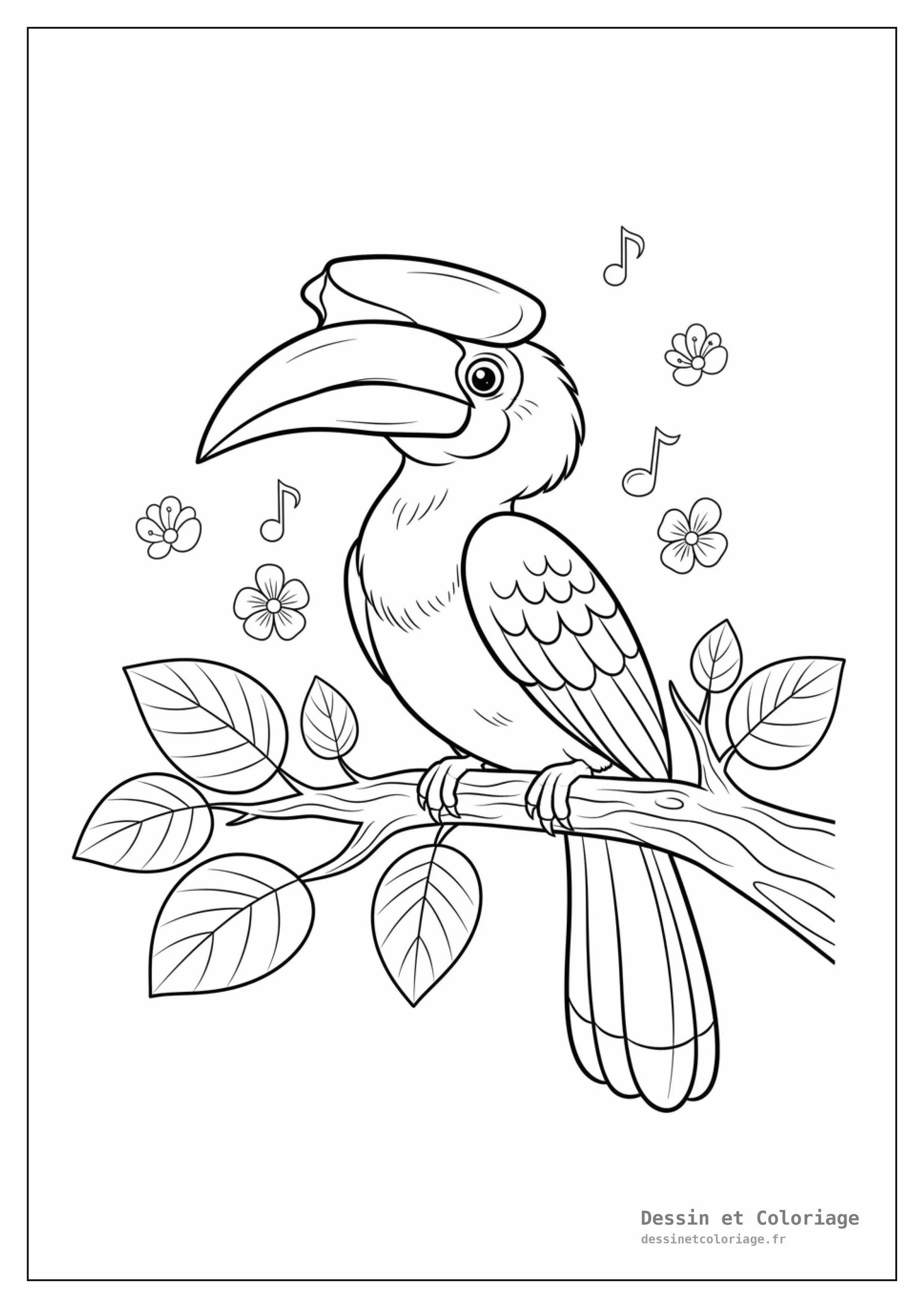 coloriage oiseau — Un calao rhinocéros perché sur une branche épaisse de jungle, affichant son grand casque.