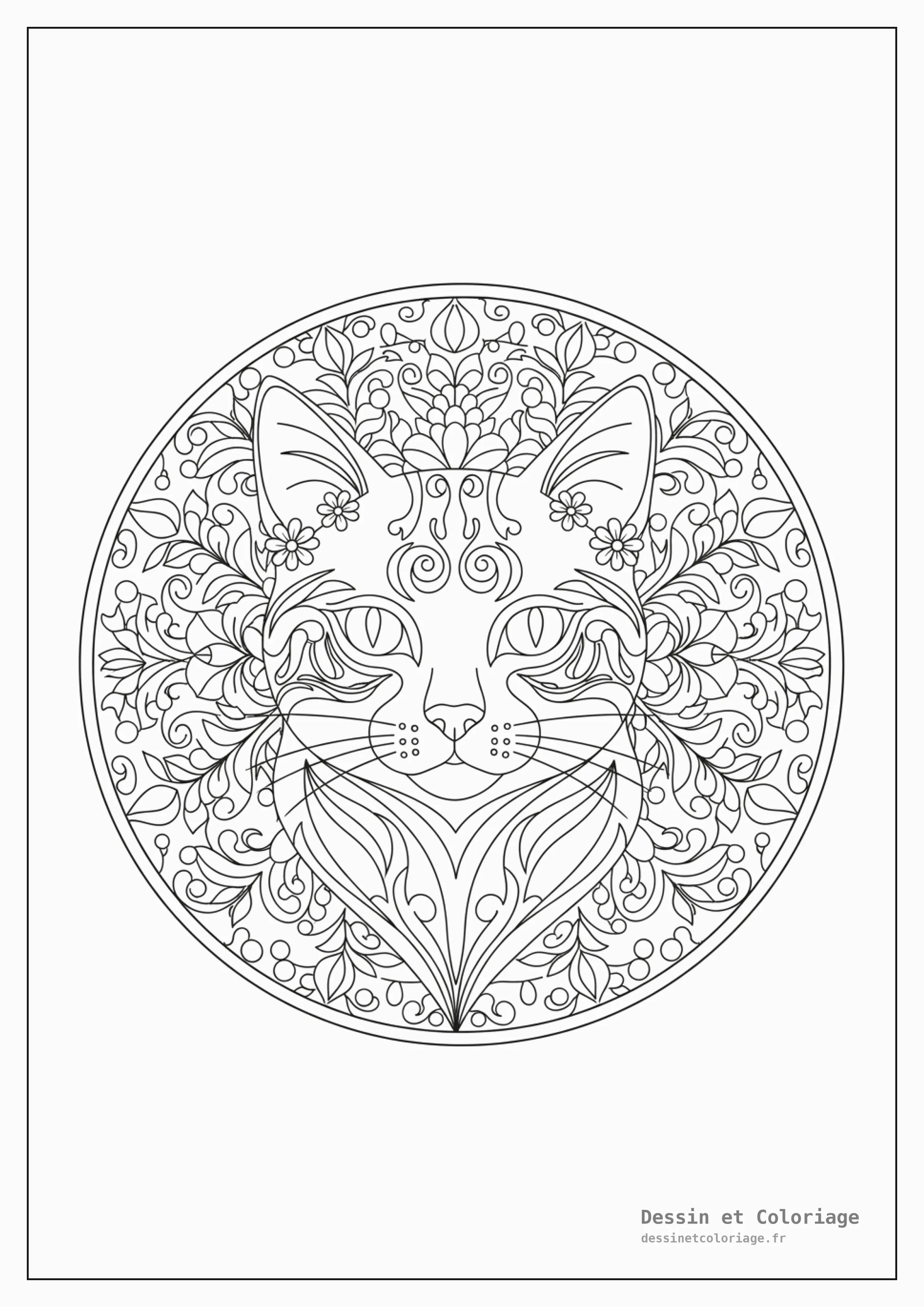 coloriage chat mandala — Tête de chat stylisée au centre d'un mandala floral complexe, entourée de pétales et de feuilles délicates.
