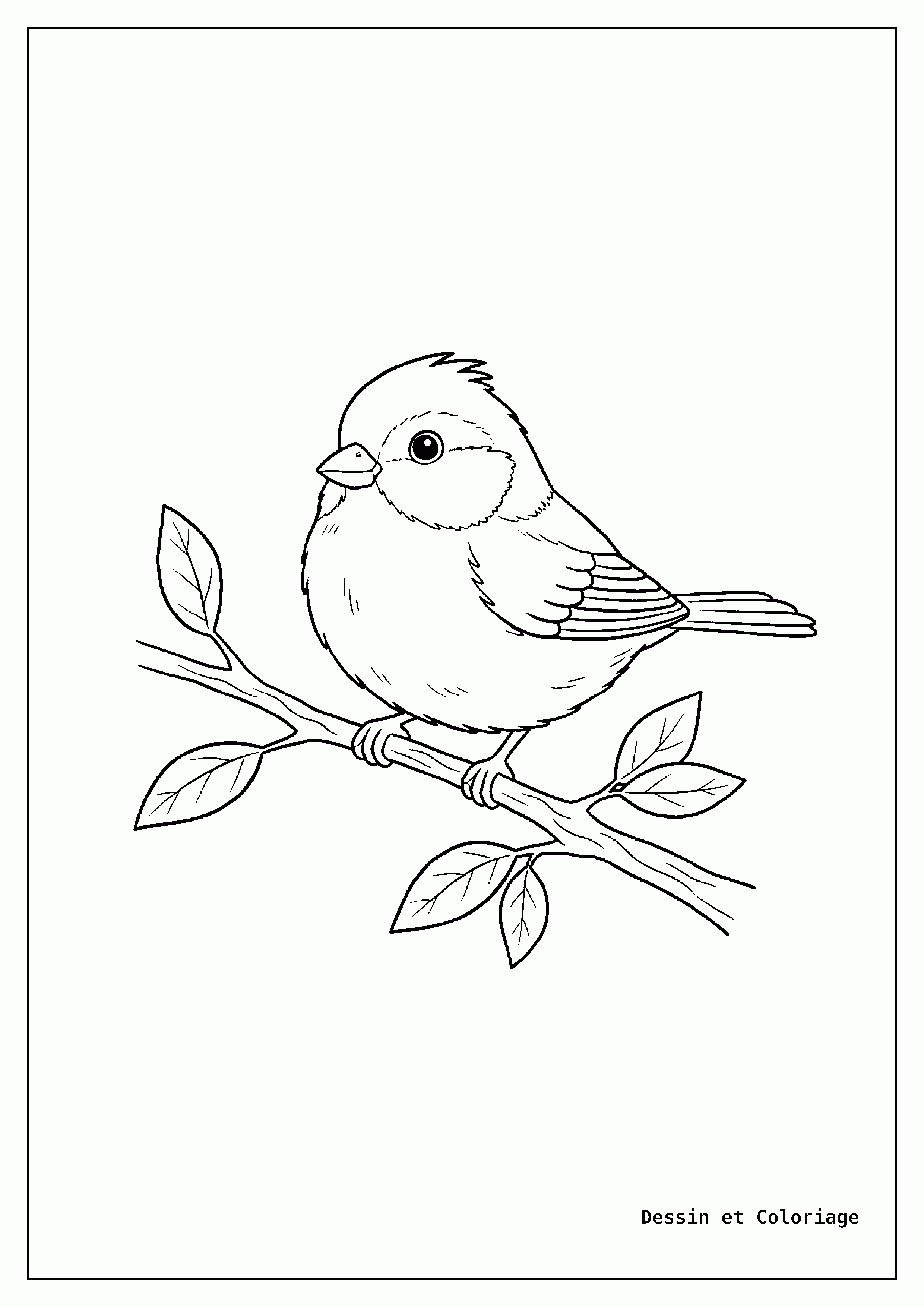 coloriage oiseau — Mésange posée sur une fine branche, sa petite tête et son corps rond.