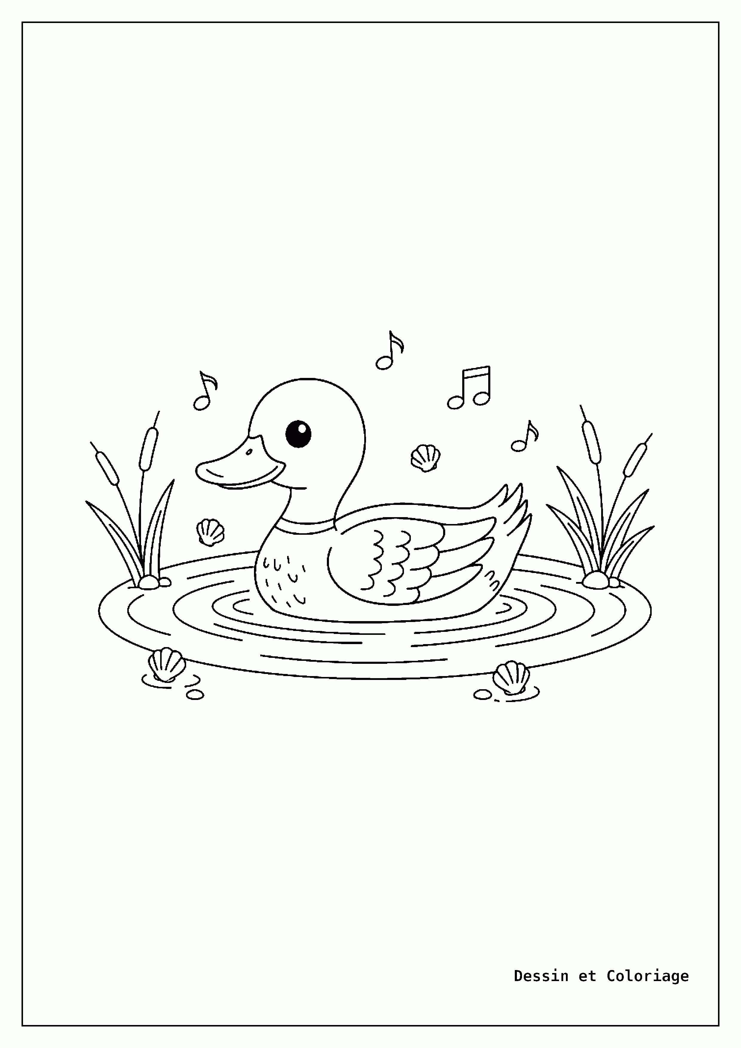 coloriage oiseau — Canard nageant paisiblement dans une mare avec des ondulations légères et des roseaux sur les bords.