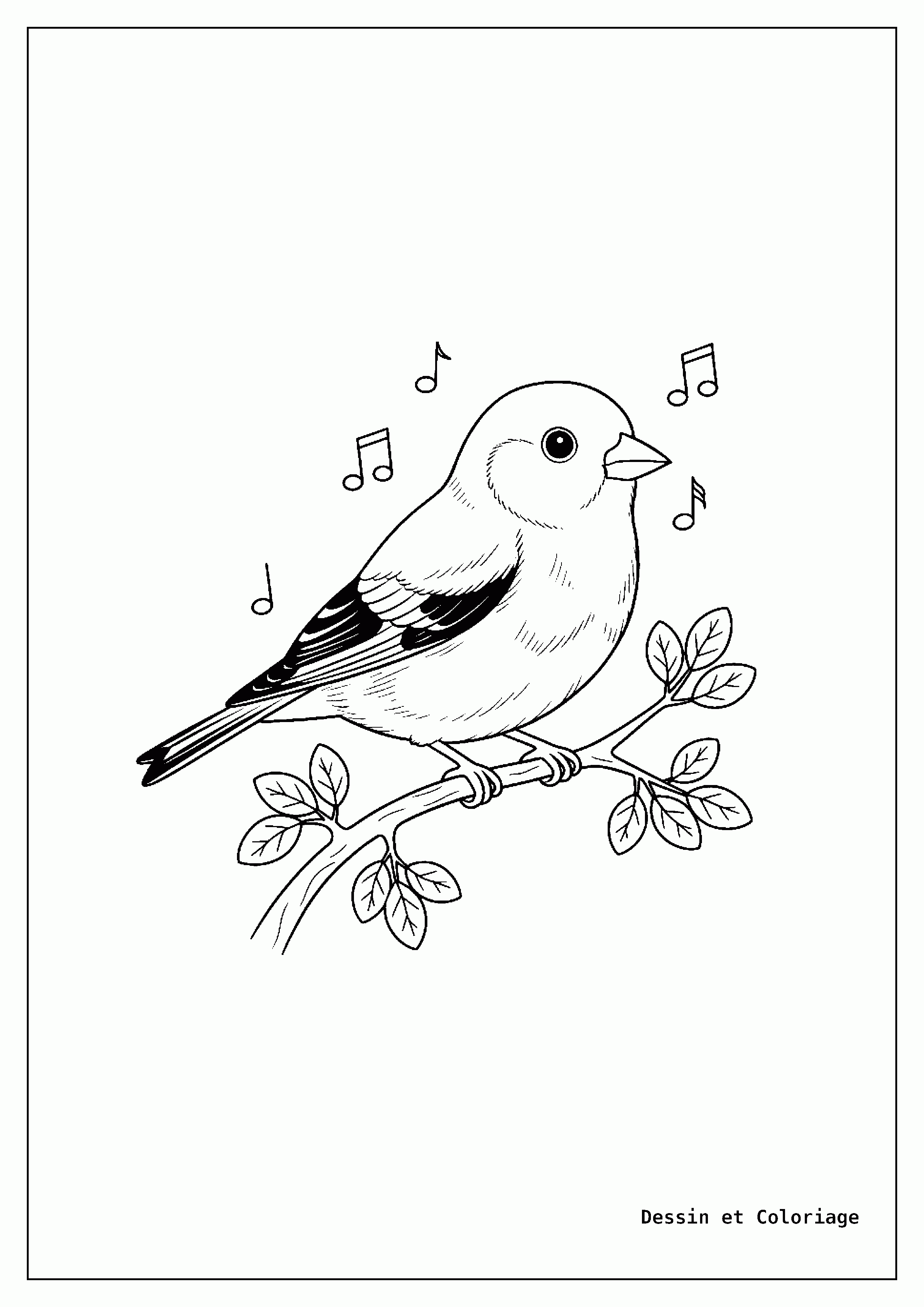 coloriage oiseau — Chardonneret perché sur une branche fine, regardant sur le côté, avec des feuilles délicates.