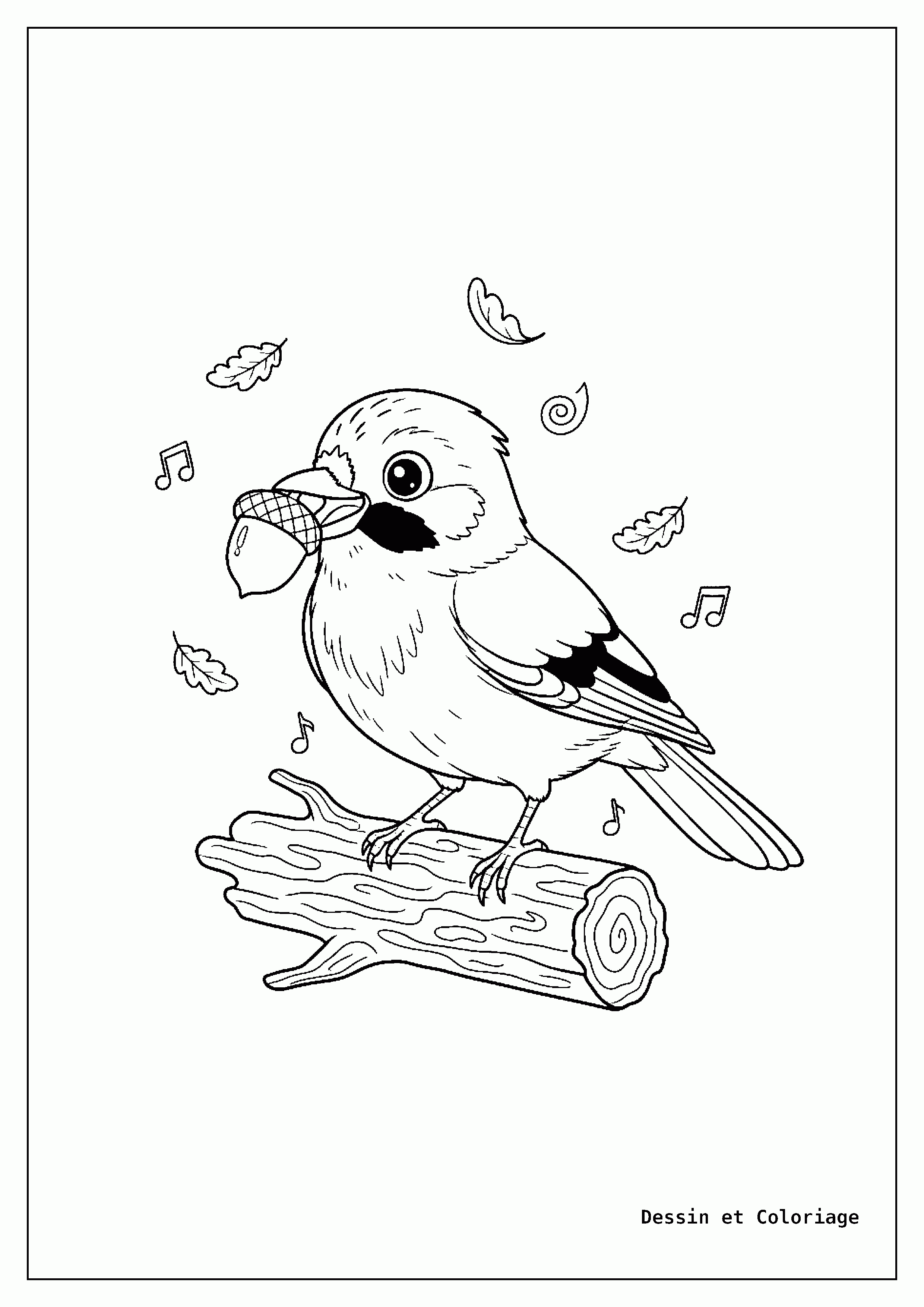 coloriage oiseau — Geai tenant un gland dans son bec, posé sur une bûche avec des nervures du bois.