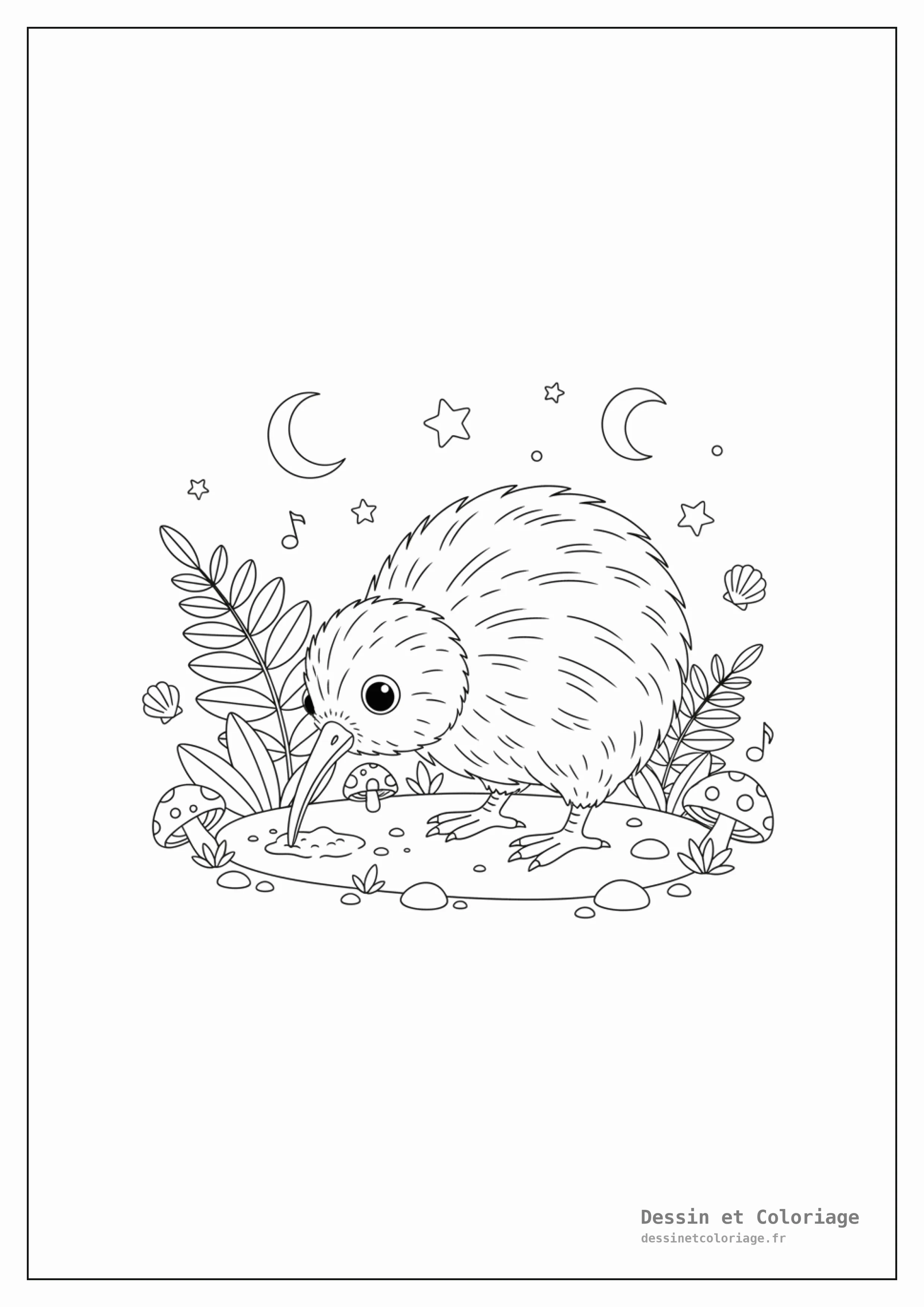 coloriage oiseau — Un oiseau kiwi cherche sa nourriture sur le sol forestier la nuit avec des étoiles visibles.