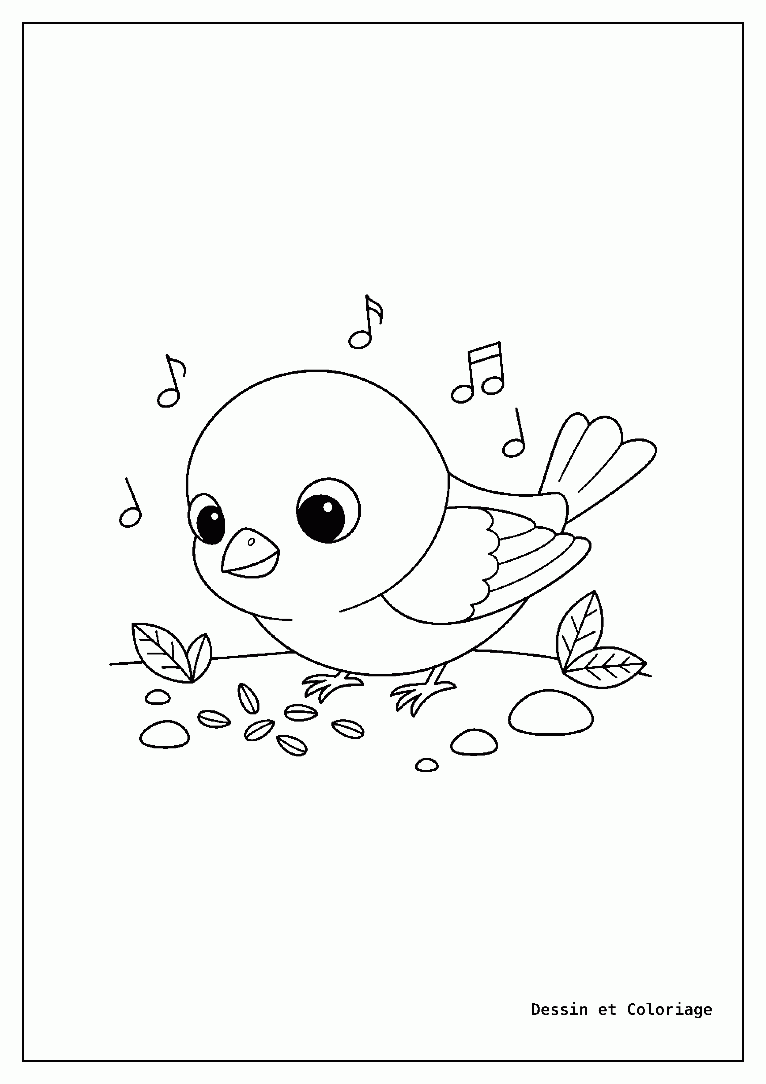 coloriage oiseau — Verdurier penché picorant des petites graines éparpillées sur un sol rocailleux.