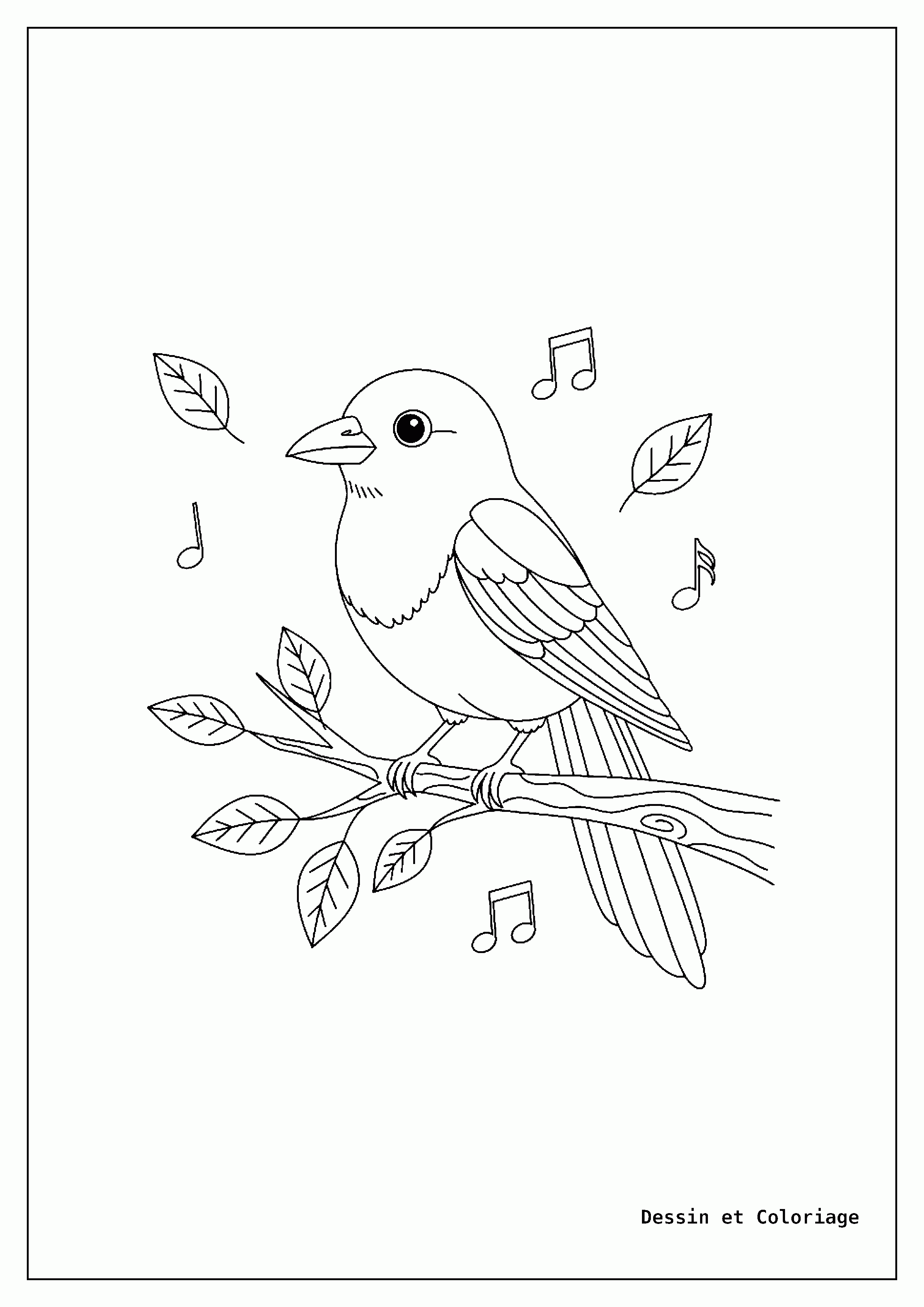 coloriage oiseau — Une pie bavarde perchée sur une branche d'arbre, observant l'environnement avec sa longue queue.