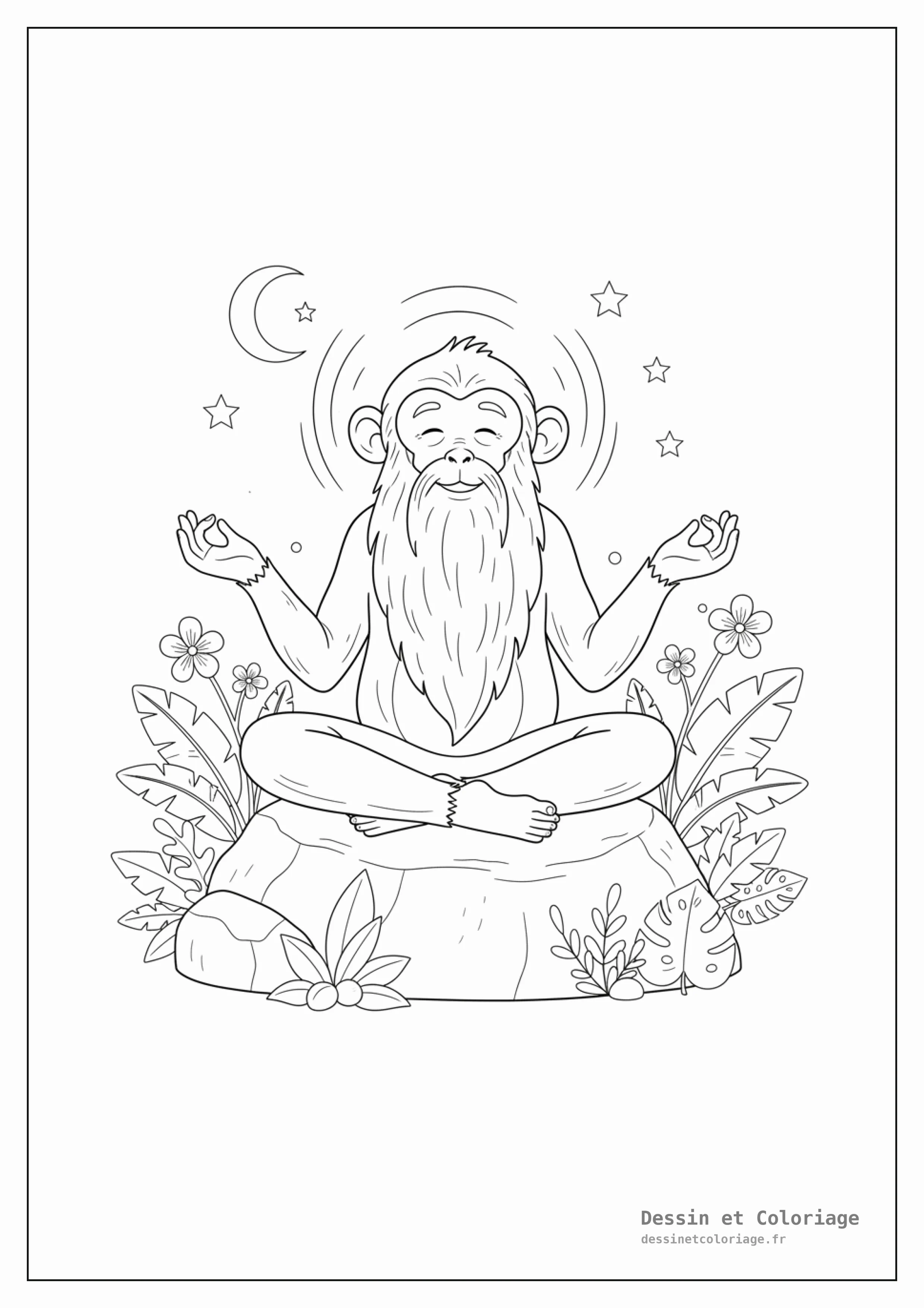 coloriage singe — Vieux singe sage avec une longue barbe, assis en position de méditation sur un rocher, avec une expression sereine et une aura douce.