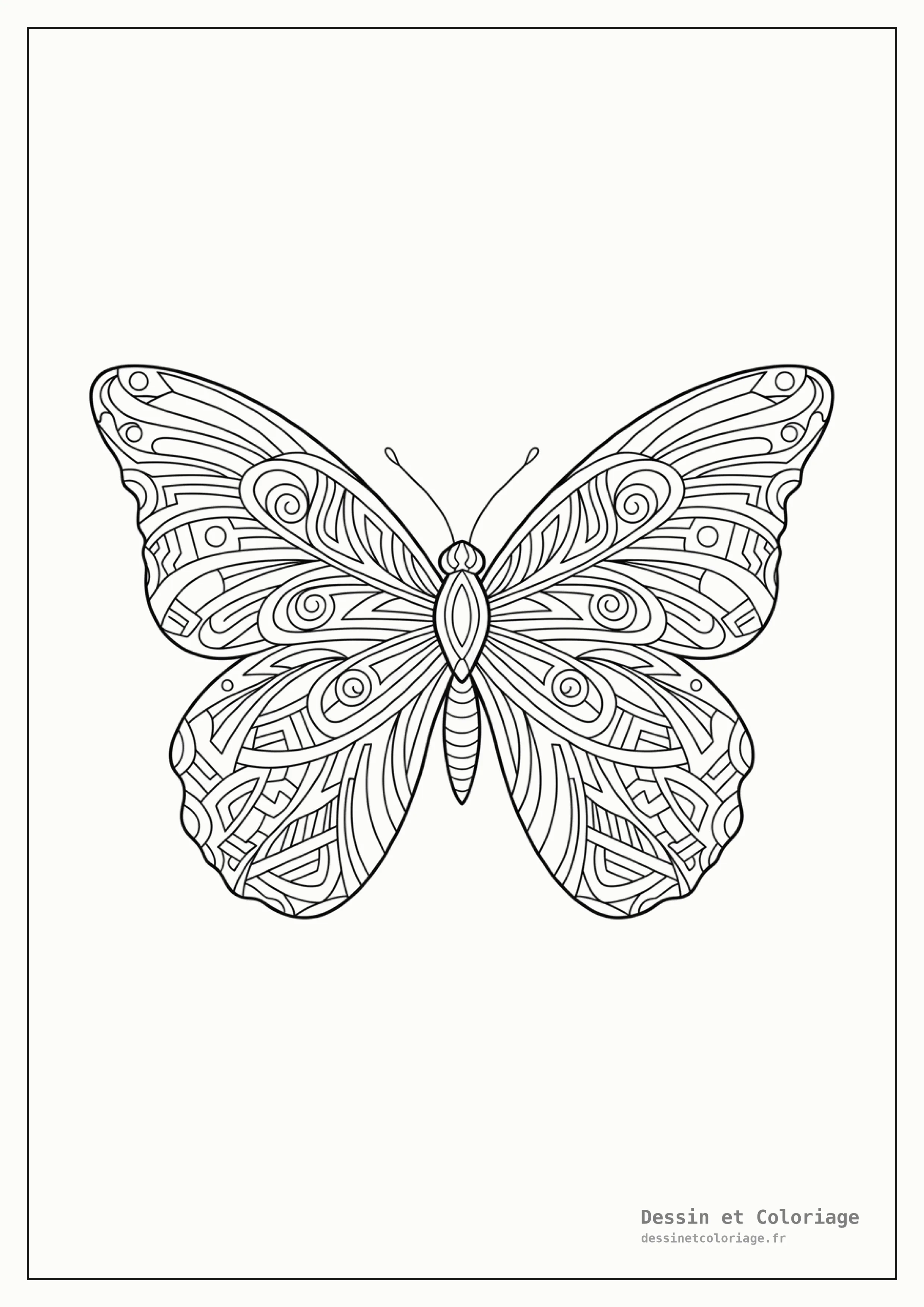 coloriage papillon mandala — Papillon abstrait avec des ailes composées de lignes entrelacées formant un mandala moderne et complexe.