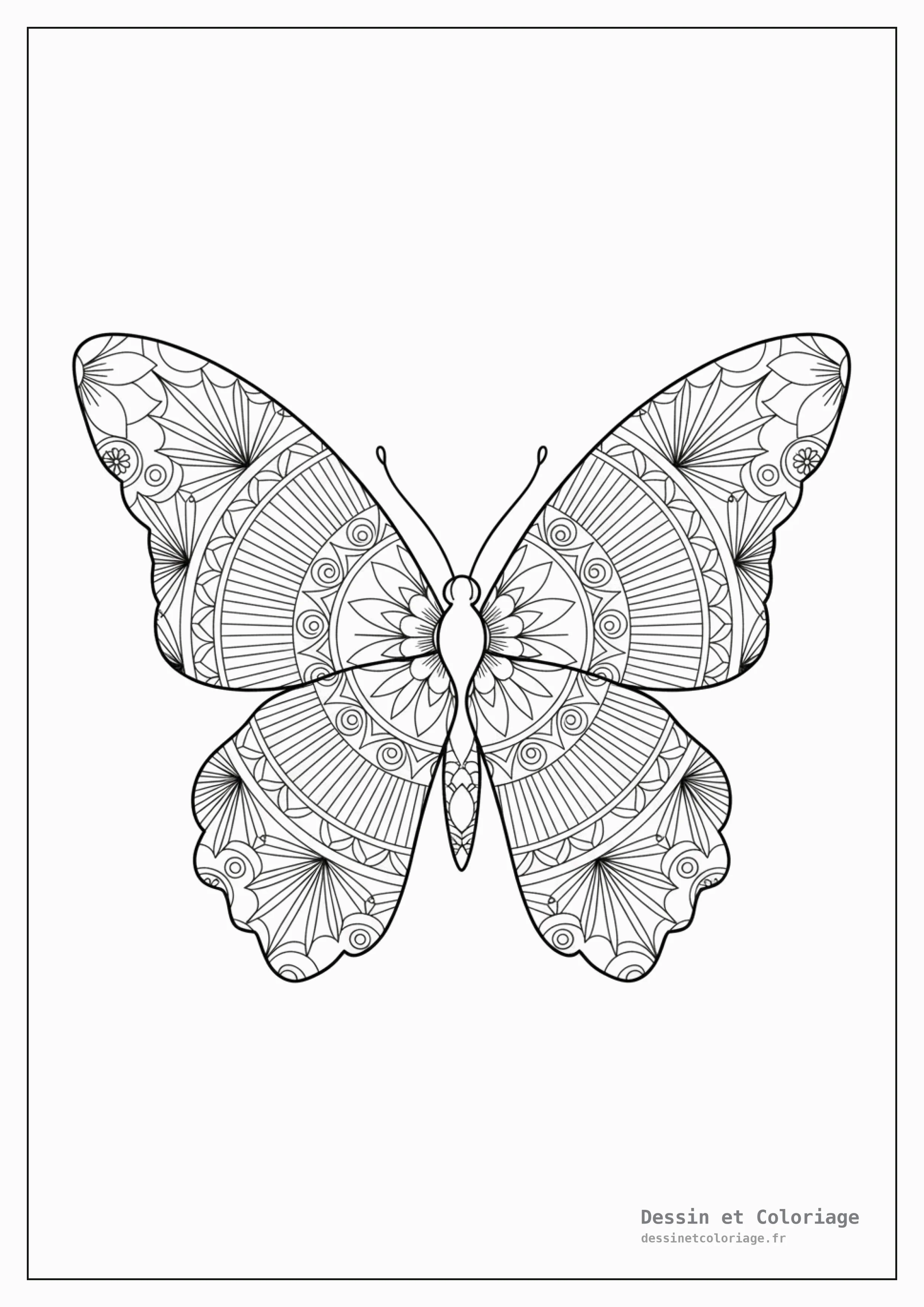 coloriage papillon mandala — Papillon aux ailes stylisées dans un design Art Déco, mêlant géométrie et motifs floraux en mandala.