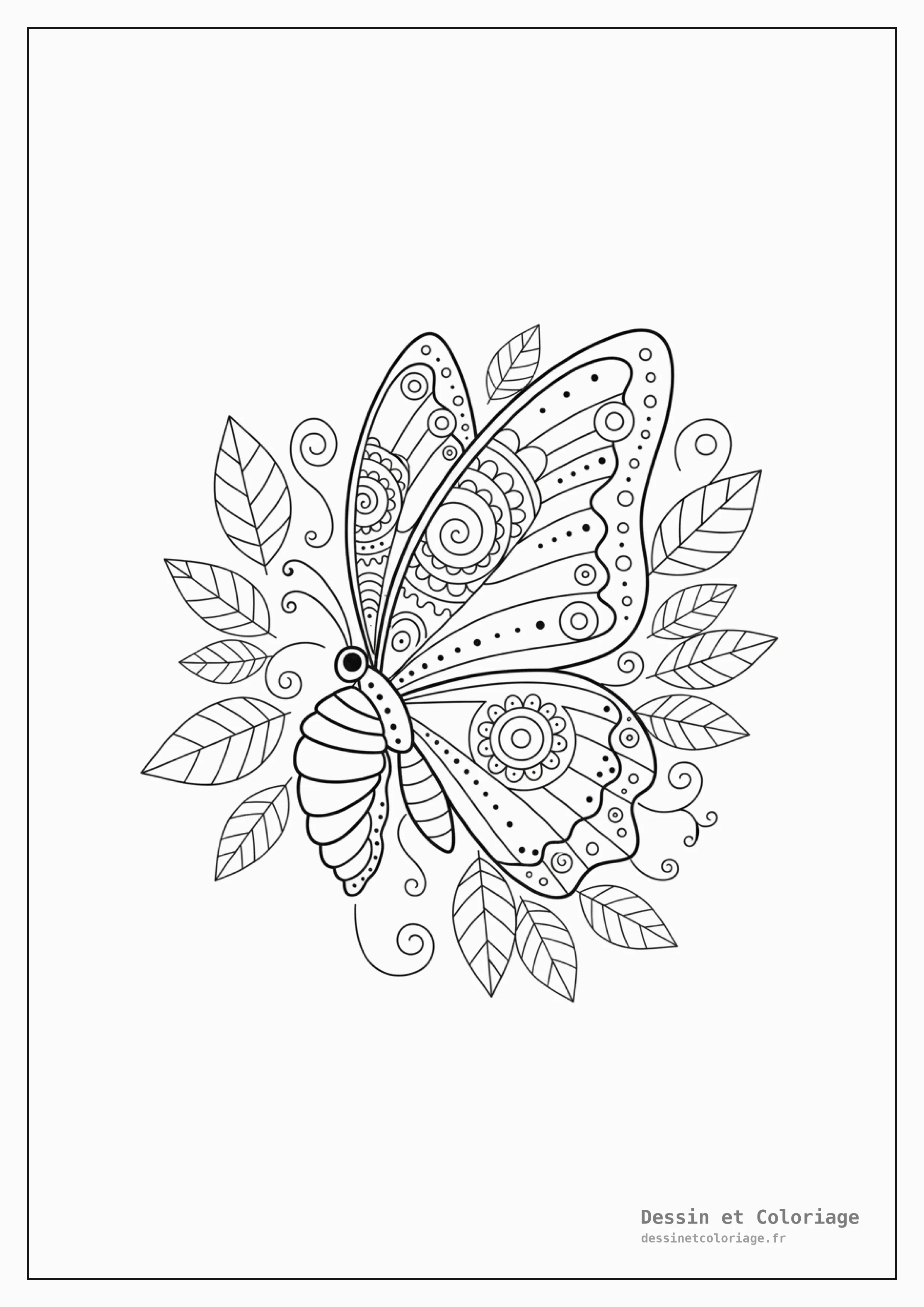 coloriage papillon mandala — Papillon en pleine éclosion, sortant de sa chrysalide, avec des motifs de mandala simples sur ses ailes naissantes, entouré de feuilles.