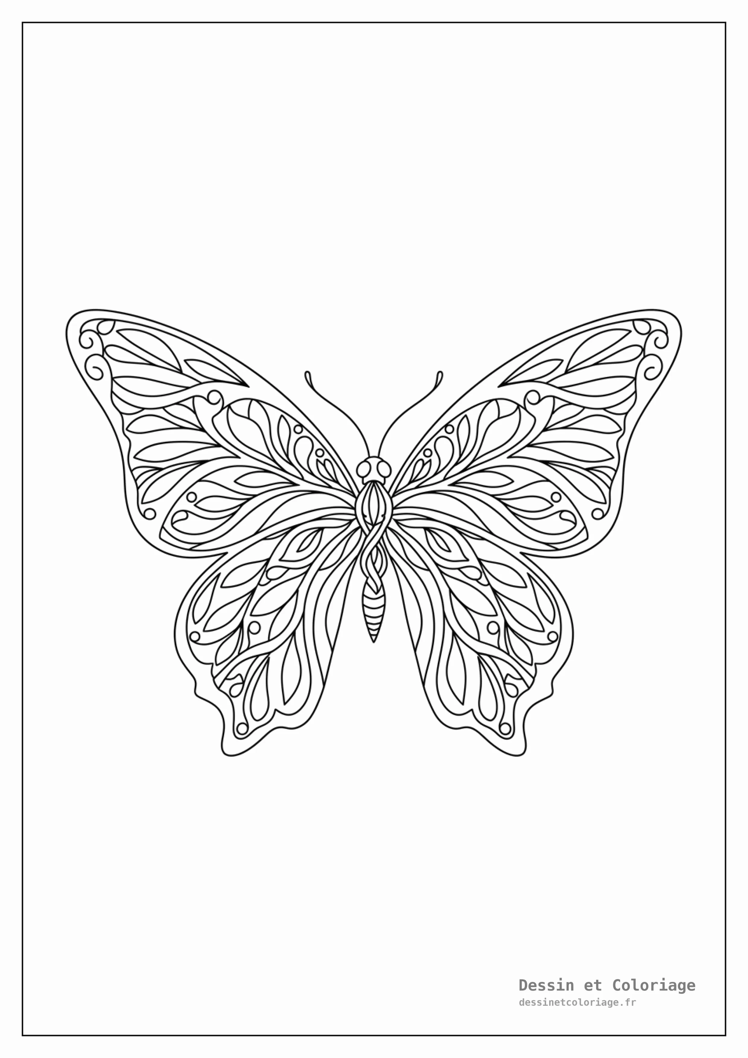 coloriage papillon mandala — Grand papillon aux ailes majestueuses, ornées de motifs de feuilles et d'arabesques en mandala, pour une ambiance sereine.