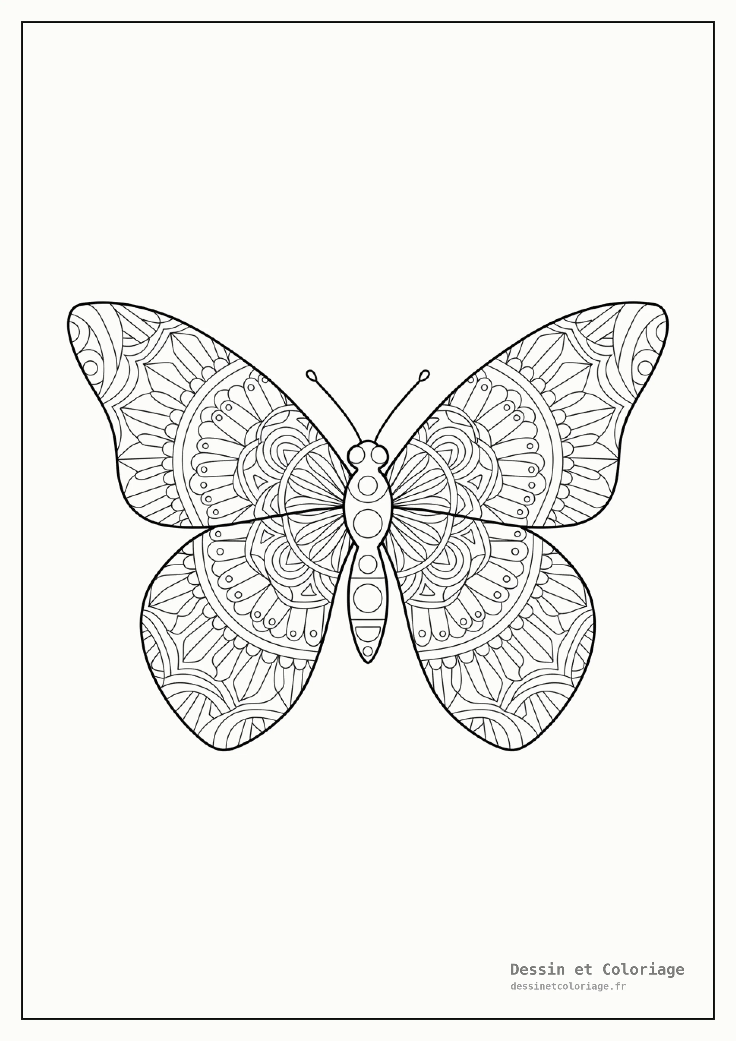 coloriage papillon mandala — Papillon aux ailes remplies de motifs géométriques mandalas, avec une symétrie parfaite, invitant à la concentration.