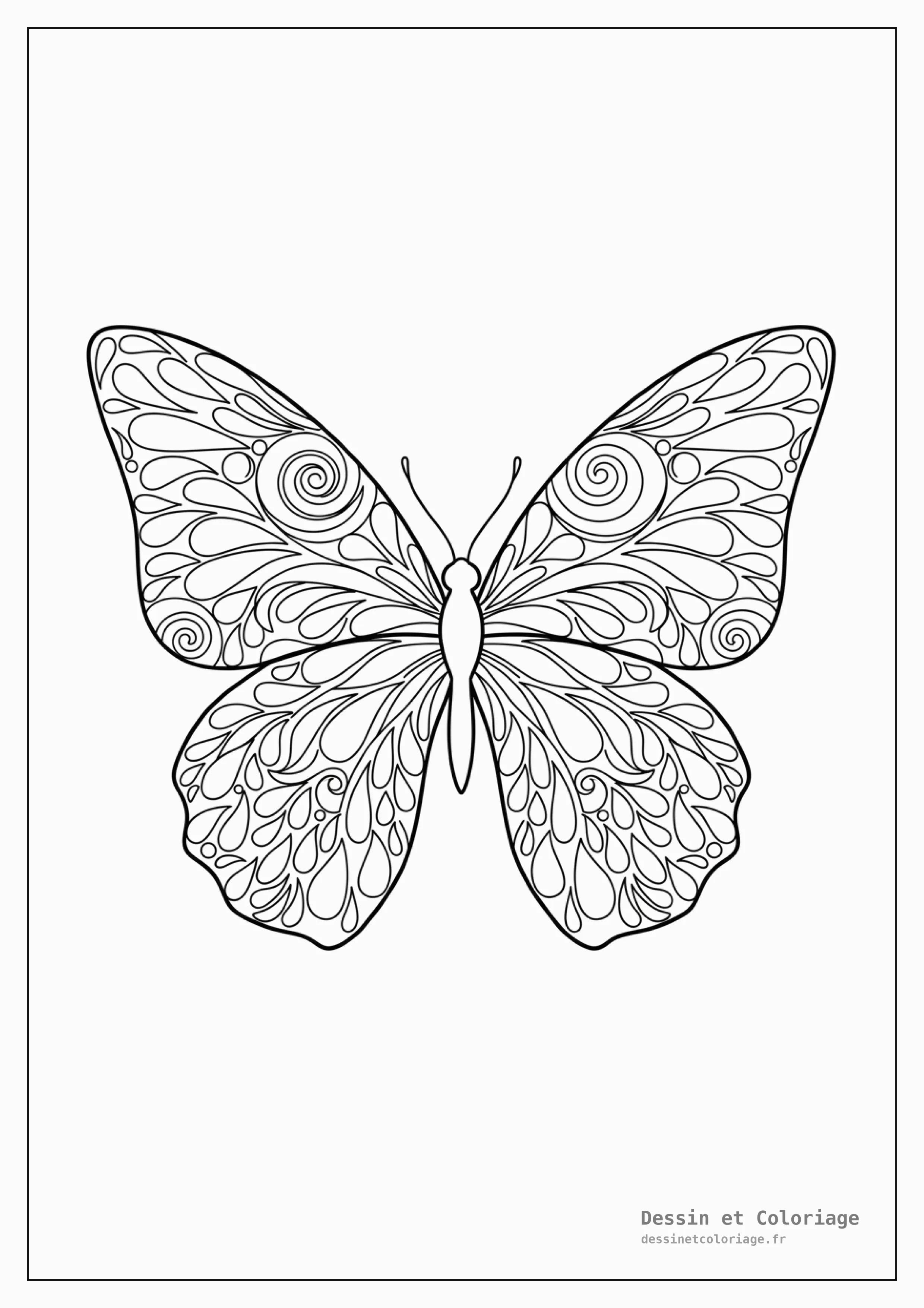 coloriage papillon mandala — Papillon aux ailes dynamiques ornées de motifs de gouttes et de spirales en mandala, évoquant le mouvement.