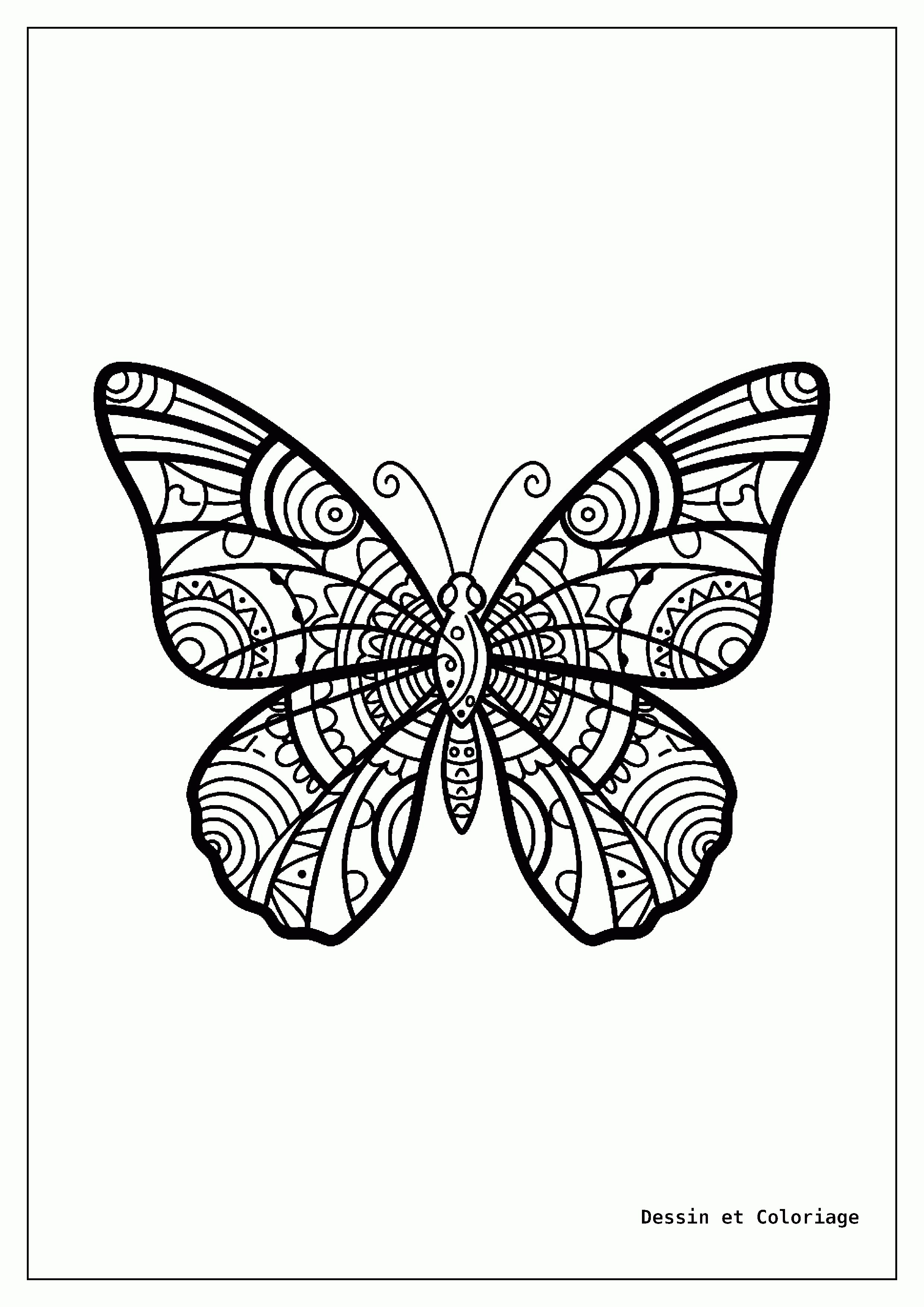 coloriage papillon mandala — Papillon aux ailes décorées de motifs de mandala tribaux audacieux, avec des lignes fortes et des éléments culturels.