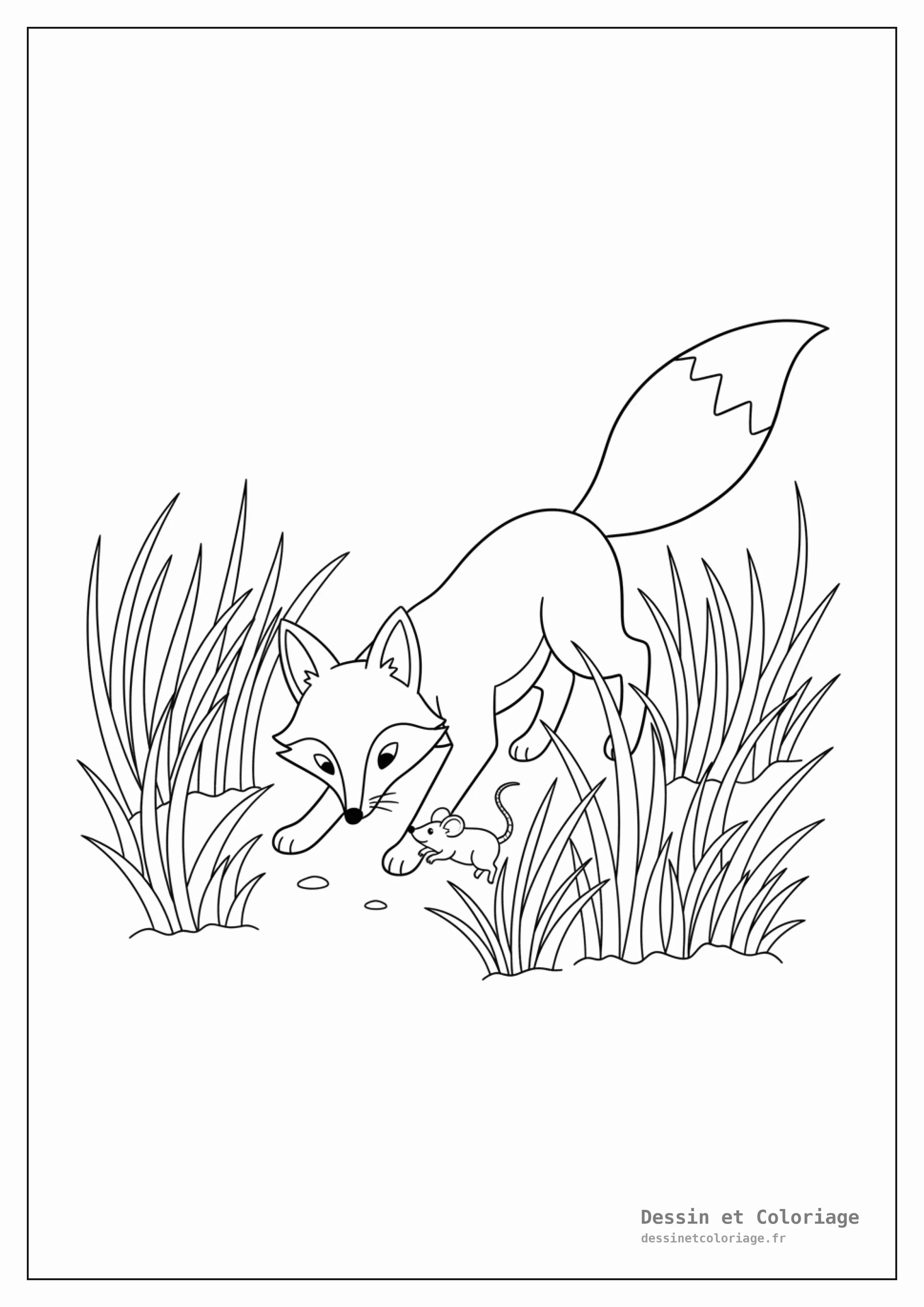 coloriage renard — Renard concentré à chasser une souris dans les hautes herbes, avec des brin d'herbe détaillés.