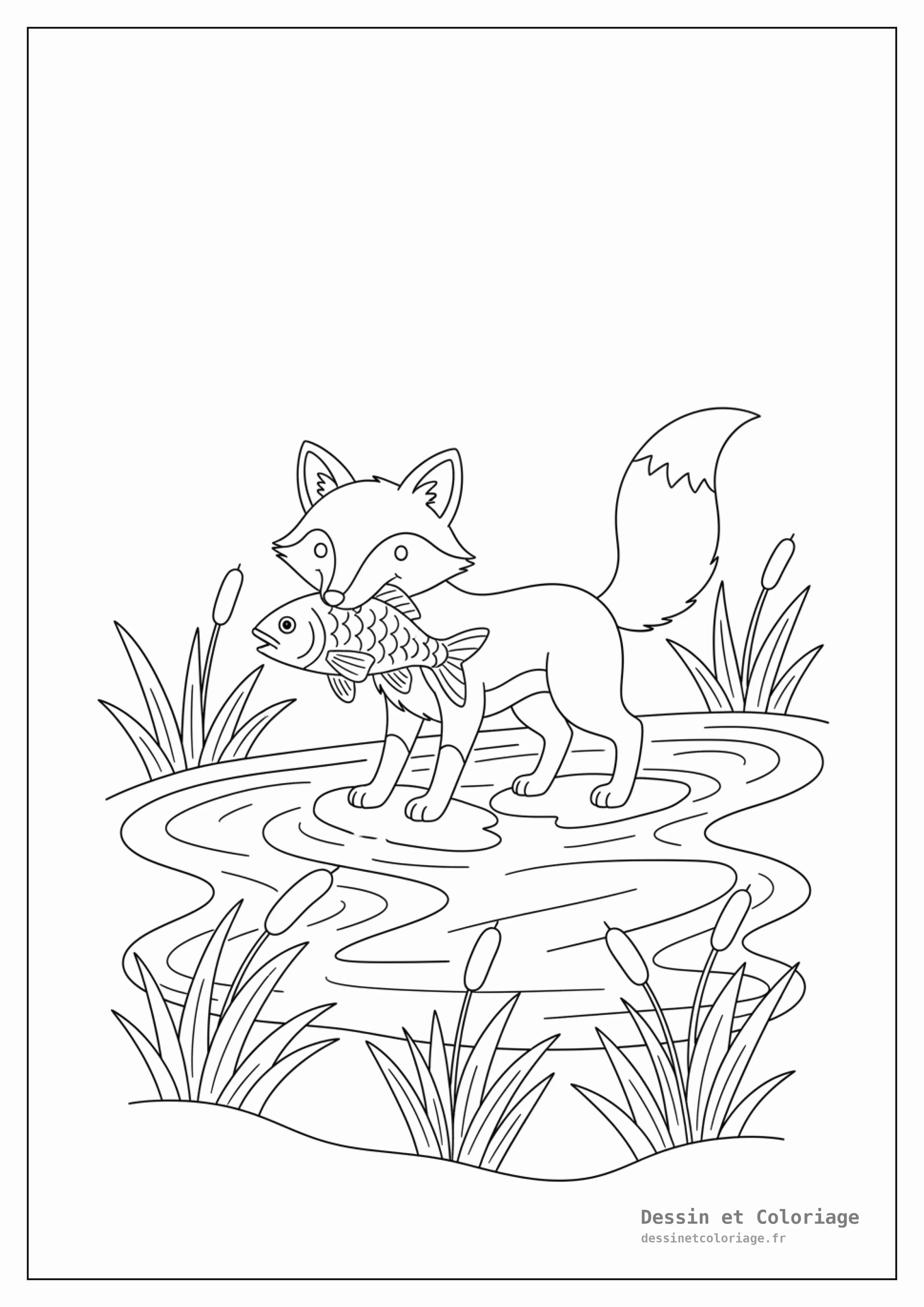 coloriage renard — Renard pêcheur attrapant un poisson dans une rivière, des roseaux sur les berges.